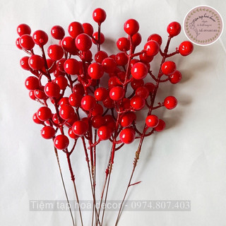 Cành đào đông, quả cherry đỏ trang trí nhà cửa