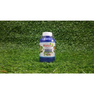 Canxi bo thái lan Calciam boron 1 phân bón lá trung vi lượng làm to trái và chống rụng hoa - hủ 100ml