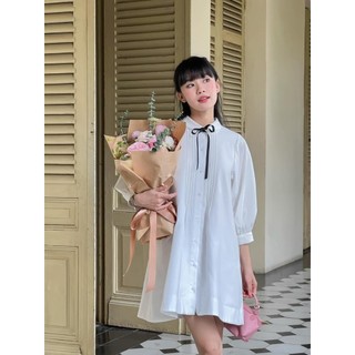 Đầm sơ mi bigsize dáng suông gài nút xinh yêu duyên dáng ( Thời trang Vicky G - Anitagreen ) HN121223
