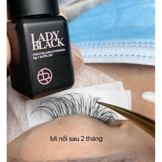 Keo nối mi Lady black