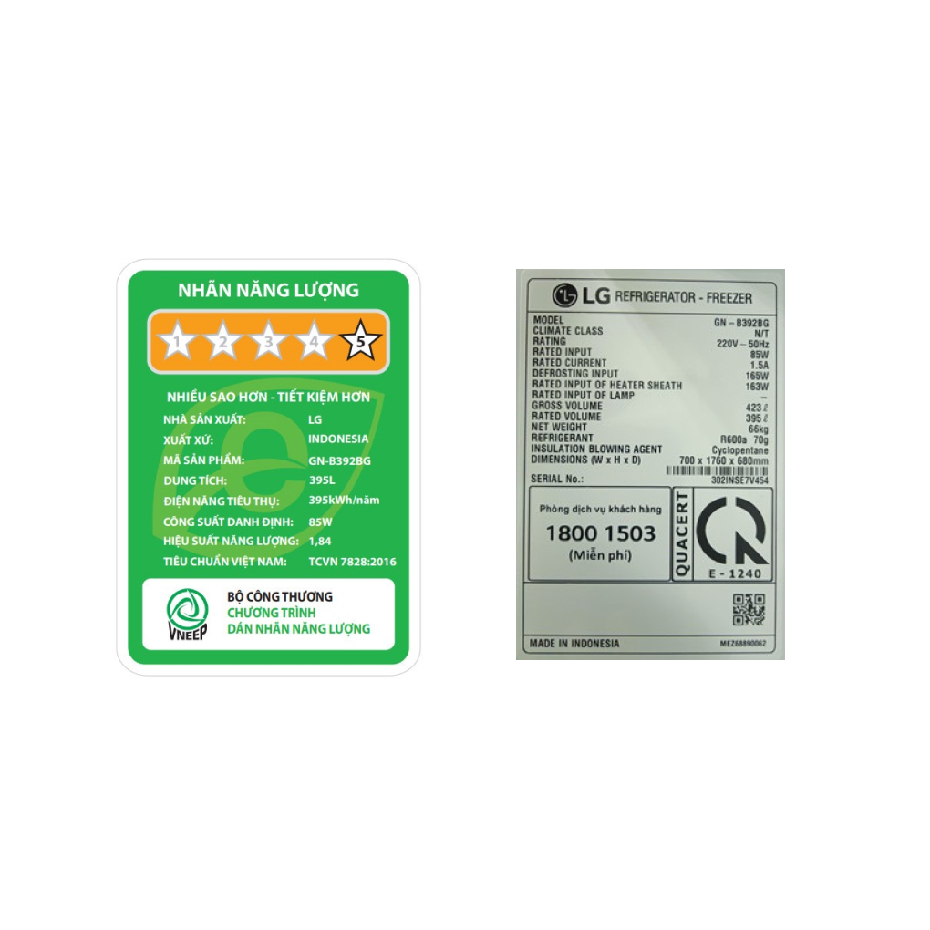 TỦ LẠNH LG INVERTER 395 LÍT GN-B392BG 2023