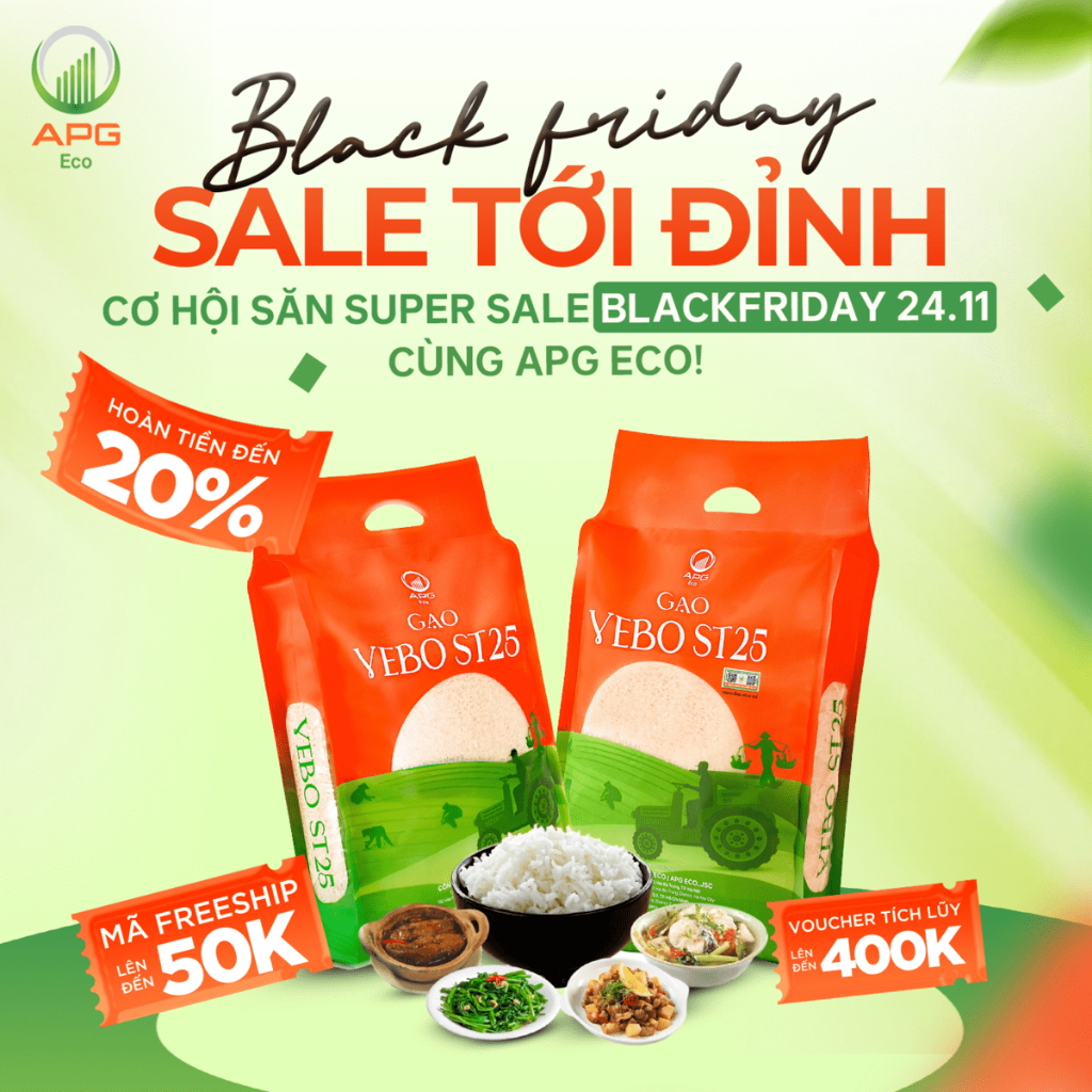 Gạo VEBO ST25 - Gạo ĐẶC SẢN AN GIANG - Hạt cơm trắng, dài bóng dẻo gói 5KG