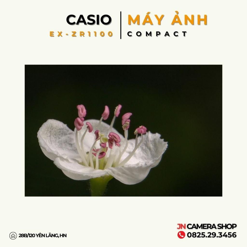 Máy ảnh Casio Exilim ZR1100