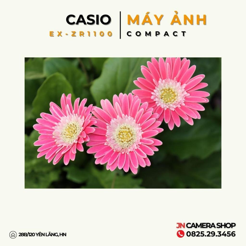 Máy ảnh Casio Exilim ZR1100