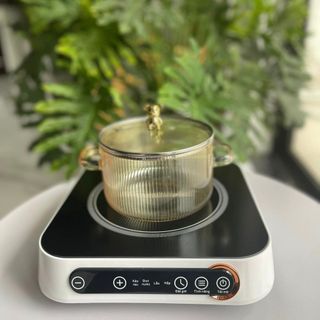 Bếp điện từ cảm ứng Nineshield KB-8603 cao cấp chính hãng