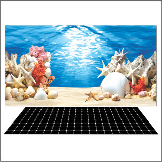 Tranh 3d decal có sẵn keo, tranh dán bể cá thủy sinh, bể cá rồng
