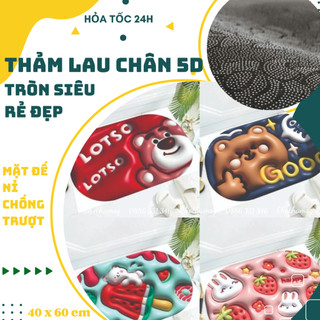 Combo 5 thảm chùi chân chống trượt 5d, size 40x60cm