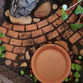 Viên gạch, bậc đá trang trí hồ cá, bể cá, chậu cây, tiểu cảnh terrarium