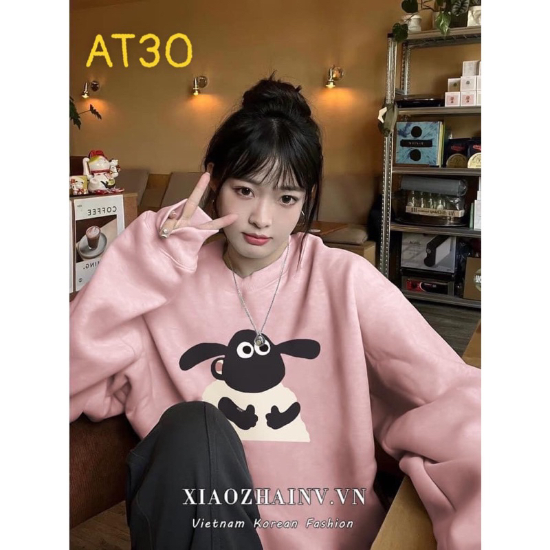 Áo nỉ cổ tròn các mẫu  unisex nam nữ dày dặn THA588