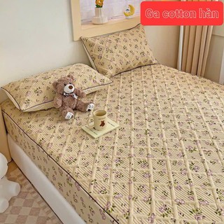 Ga gối cotton trần bông bo chun hàng loại 1