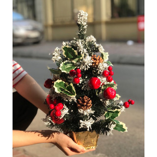Cây thông mini 30cm, 45cm, 60cm [Ảnh Thật]
