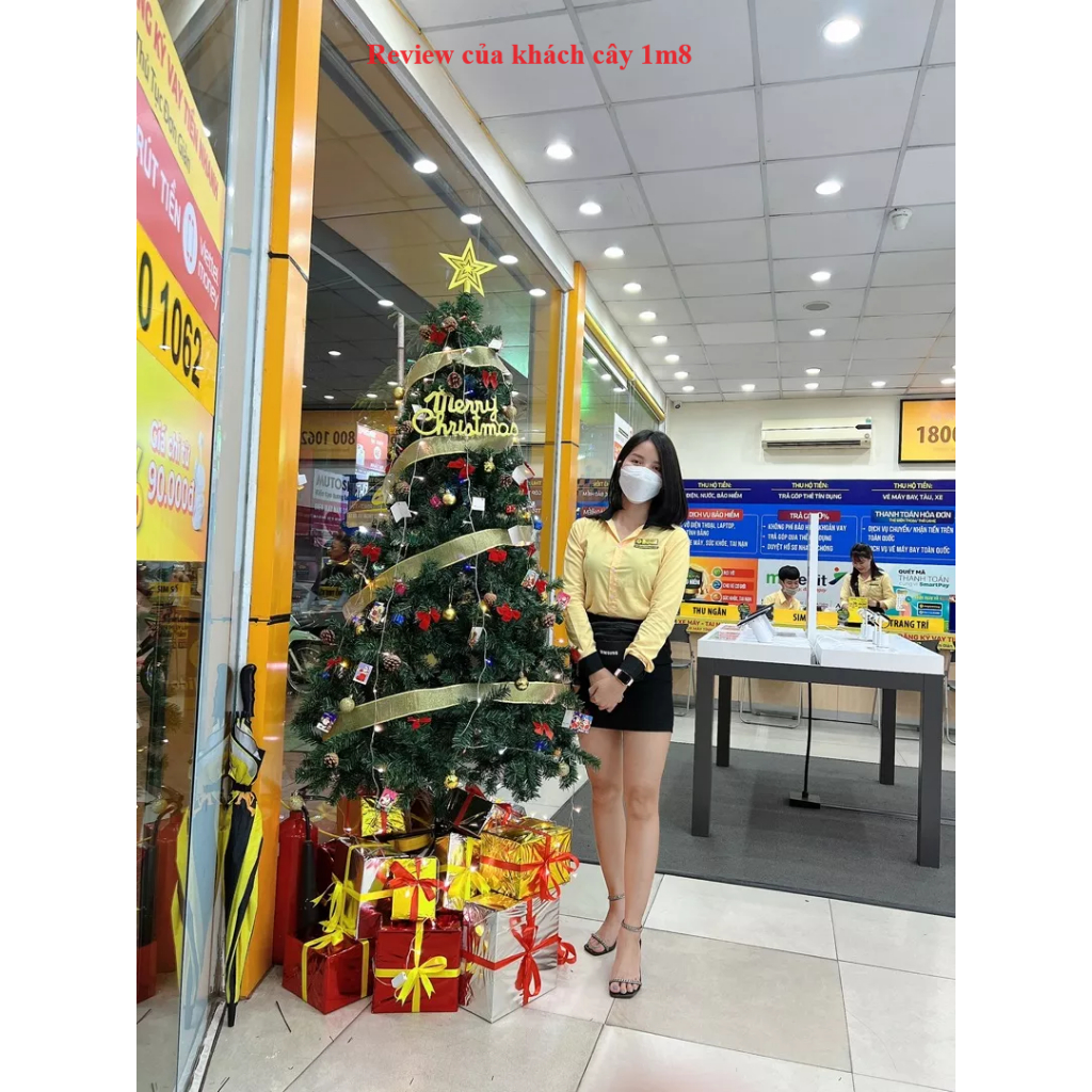 Cây thông Noel 1m5 đến 3m  tán siêu dày + Bộ phụ kiện trang trí cây thông Giáng Sinh