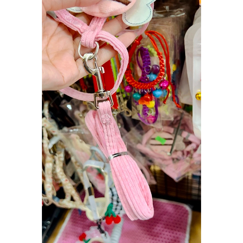 Dắt Yếm ONG cho chó mèo, đẹp, dễ thương, dắt chó, dắt mèo đẹp, yếm chó xinh, yếm mèo dễ thương