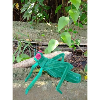 Đồ chơi Con Châu Chấu