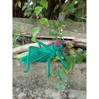 Đồ chơi Con Châu Chấu