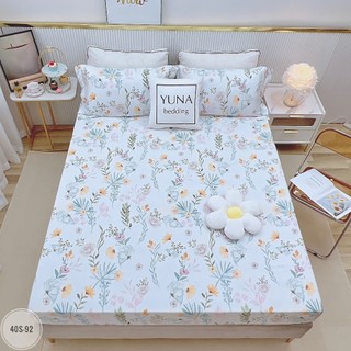 1.GA GỐI LỤA TENCEL 40S ( ẢNH SHOP TỰ CHỤP )