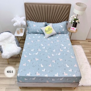 1.GA GỐI LỤA TENCEL 40S ( ẢNH SHOP TỰ CHỤP )
