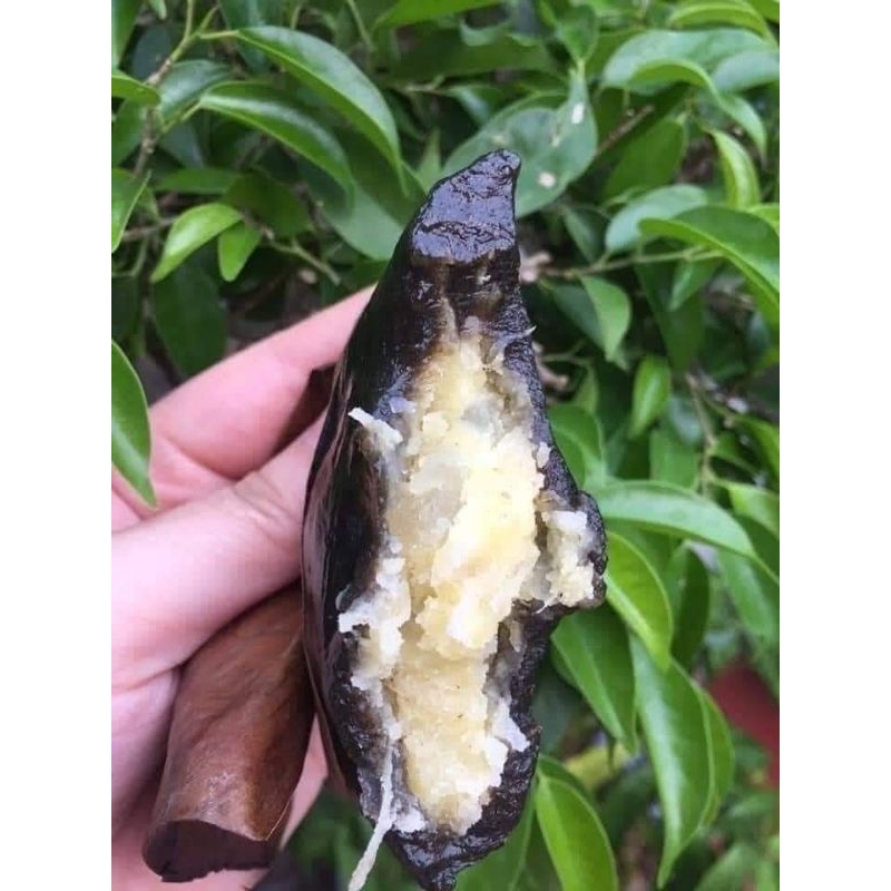 10k 1 Bánh Gai Hố Nai