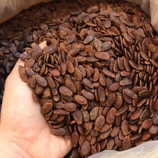 Hạt dưa Tứ Hưng loại đặc biệt 250g - Hạt dưa không màu