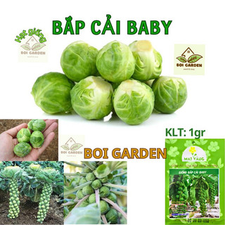 Hạt giống bắp cải baby tí hon