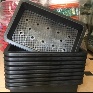  Combo 5 khay trồng rau kích thước 65x42x16cm 