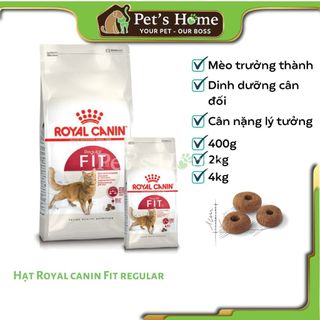 Hạt Royal Canin Fit32 thức ăn cho mèo trưởng thành Pháp