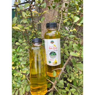 TINH DẦU SACHI ÉP LẠNH ( SACHA INCHI) 500ML