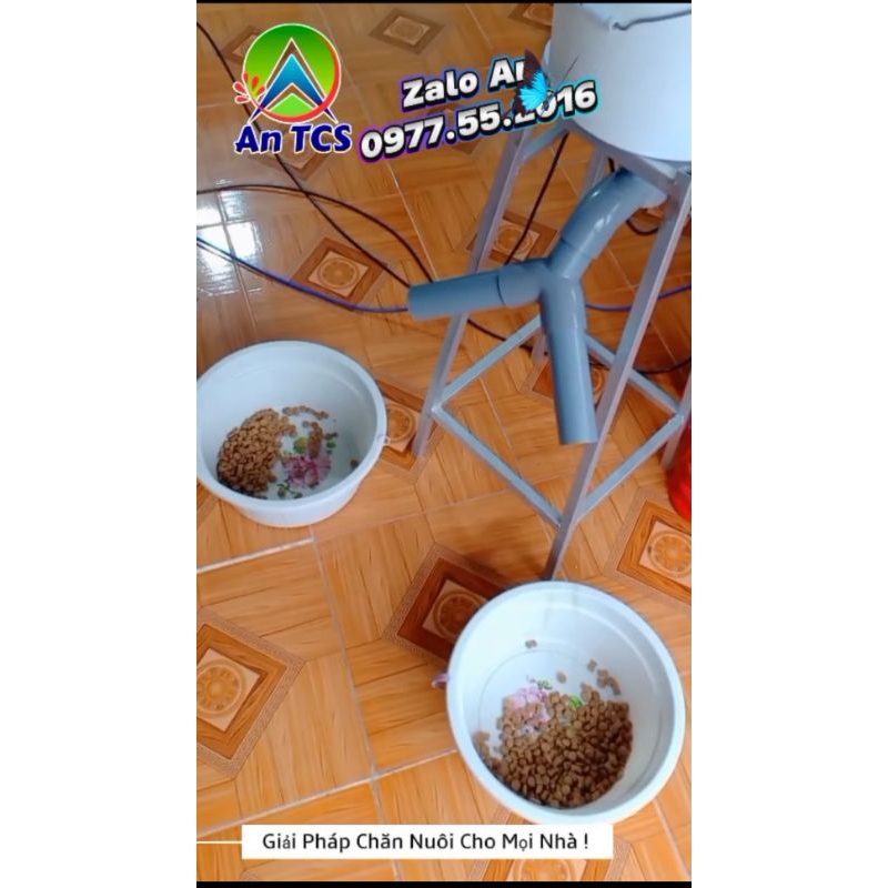 An TCS Chữ Y ra 2 vị trí thức ăn