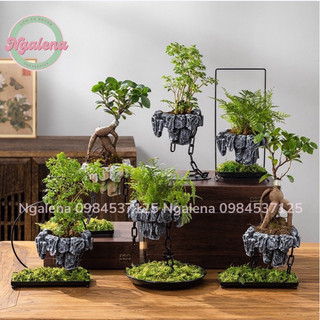 Chậu đảo bay, chậu cây lơ lửng trồng cây bonsai, trồng rêu decor trang trí