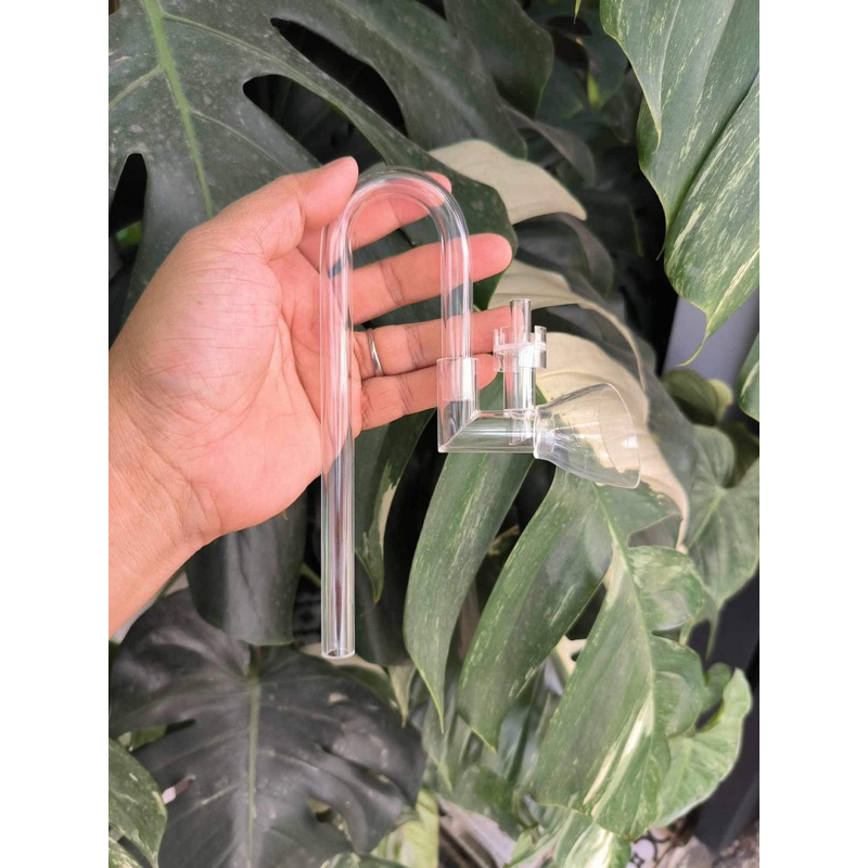 Bộ In + Out tích hợp lọc váng cho hồ shallow và nano