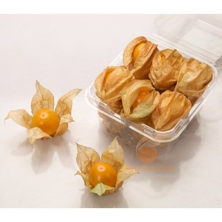 TẦM BÓP NAM MỸ TƯƠI LOẠI 1 PHYSALISVN
