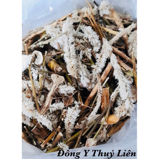 Cây hoa mào gà trắng khô, mới