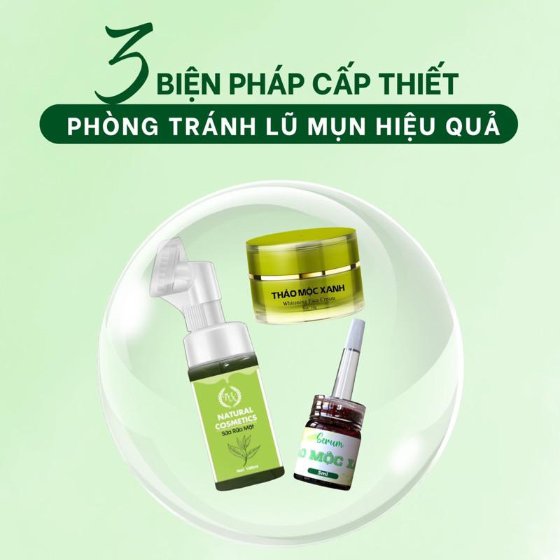 Combo Thảo Mộc Xanh ( 1 Mụn + 1  SRM + 1 Kem Face)