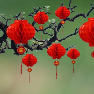 Đèn lồng trang trí Tết , đèn lồng chống nước