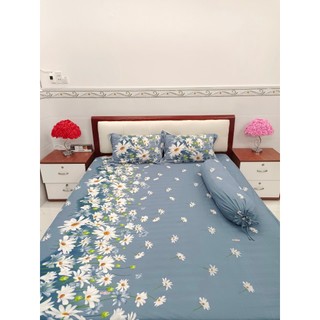 XẢ KHO thun hàn quốc size 1m6*2m và 1m8*2m