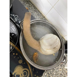 Ốc vòi Voi cấp Đông (trên 400gr / con)