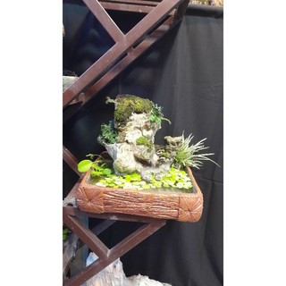 Hòn Non Bộ mini, núi đá bể cá có thác nước