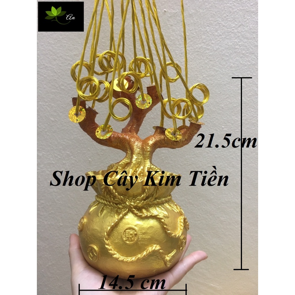 Nguyên liệu cây kim tiền phát tài phát lộc Túi vàng 15 nhánh thần tài có gắn sẵn xu và kẽm
