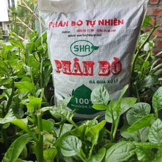 Phân bò 10dm3, Phân bò ủ hoai mục giá rẻ