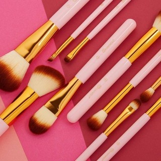 BH Pink Perfection 10 Pc Brush Set