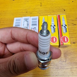 Bugi Ngk Xe Máy Giá Sỉ -  Đánh Lửa Tốt