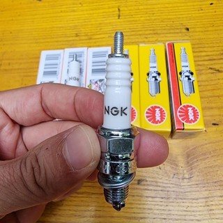 Bugi Ngk Xe Máy Giá Sỉ -  Đánh Lửa Tốt
