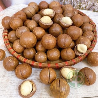 Hạt Mắc ca nứt vỏ loại 1 - Tấn Phát