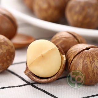 Hạt Mắc ca nứt vỏ loại 1 - Tấn Phát