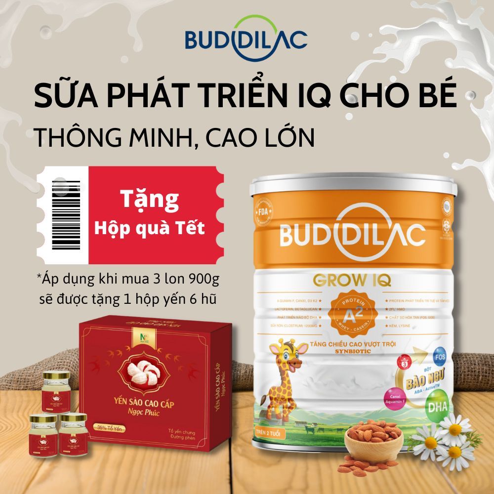 Sữa Buddilac Grow IQ - Bổ sung 2'FL HMO, Bột Bào Ngư ABA- Active, DHA, Omega 3 và 6, các Vitamin thiết yếu - lon 900g
