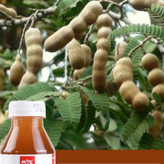 Nước trái cây Nongfu Spring chai 500ml