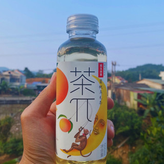 Nước trái cây Nongfu Spring chai 500ml