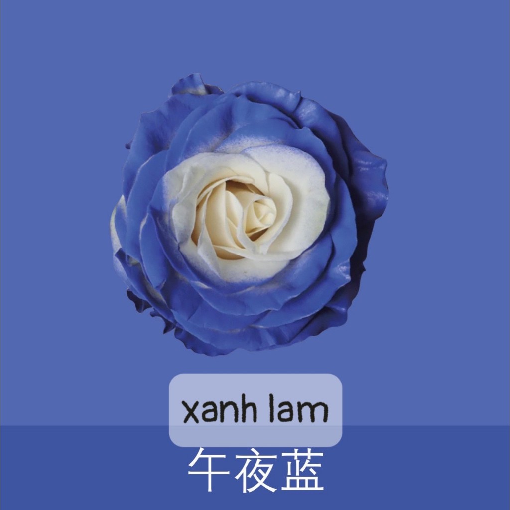 Sơn Xịt Tạo Màu Cho Hoa Tươi Lâu Hơn,Mùi thơm nhẹ Dung Tích 450ml