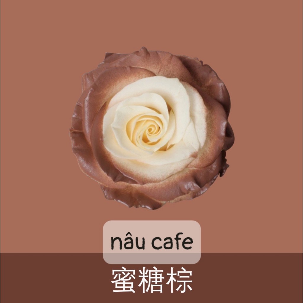 Sơn Xịt Tạo Màu Cho Hoa Tươi Lâu Hơn,Mùi thơm nhẹ Dung Tích 450ml