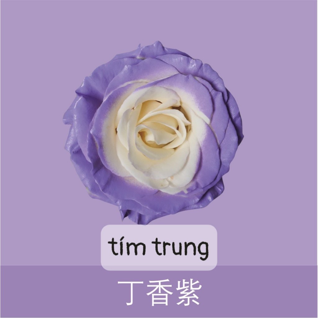 Sơn Xịt Tạo Màu Cho Hoa Tươi Lâu Hơn,Mùi thơm nhẹ Dung Tích 450ml